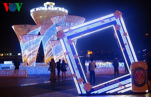 Bach Dang Spring Flower Street opens in Da Nang  - ảnh 1